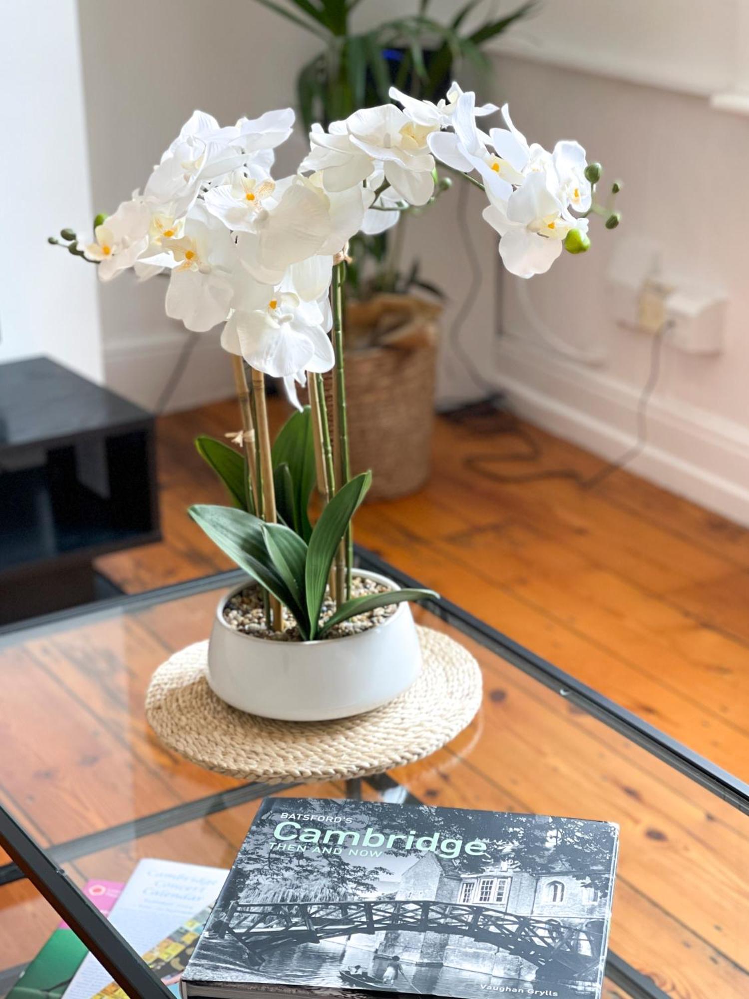 Fantastic Victorian House, Excellent City Location - Cambridge Homehost 외부 사진